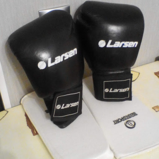 Перчатки Larsen