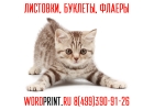 Буклеты недорого флаеры дешево печать в Жулебино Типография в Люберцах